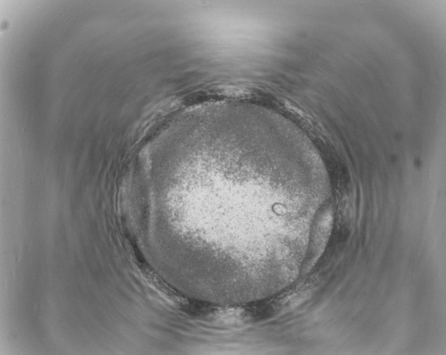 X0000088030609200706011351