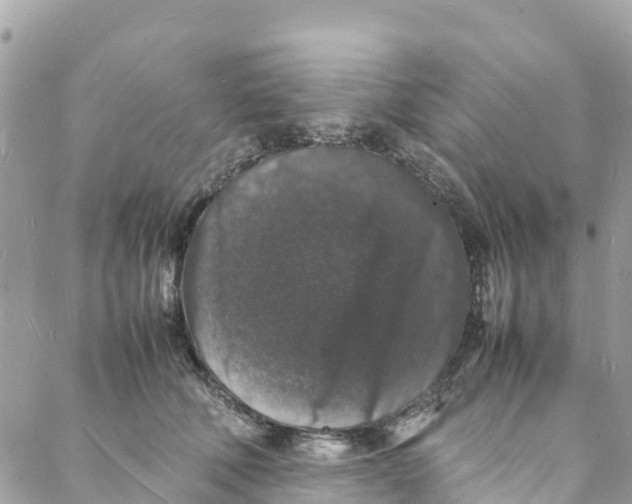 X0000088030610200706011351