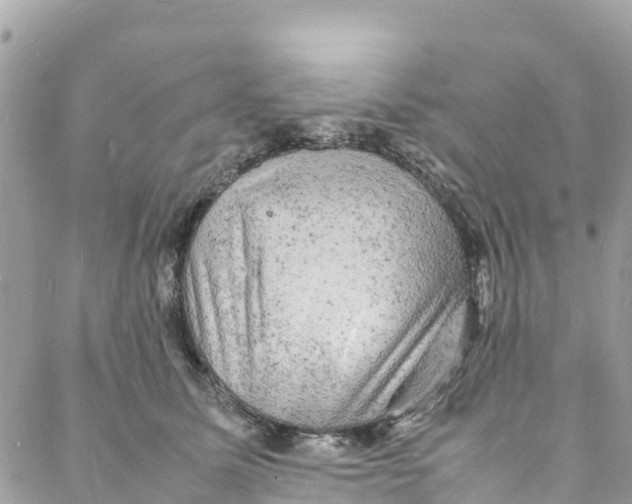 X0000088030611200706011351