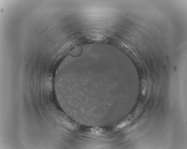 X0000088030612200706011351