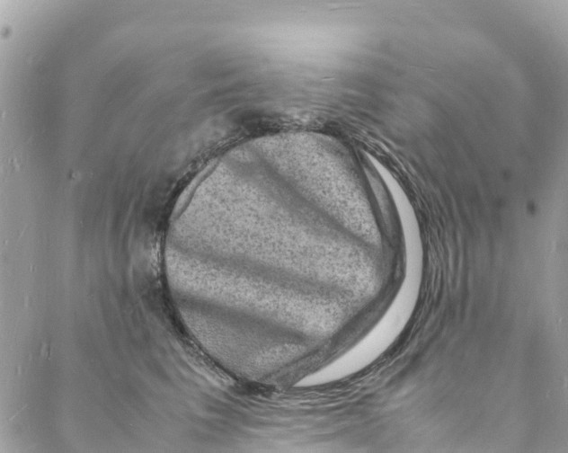 X0000088030613200706011351