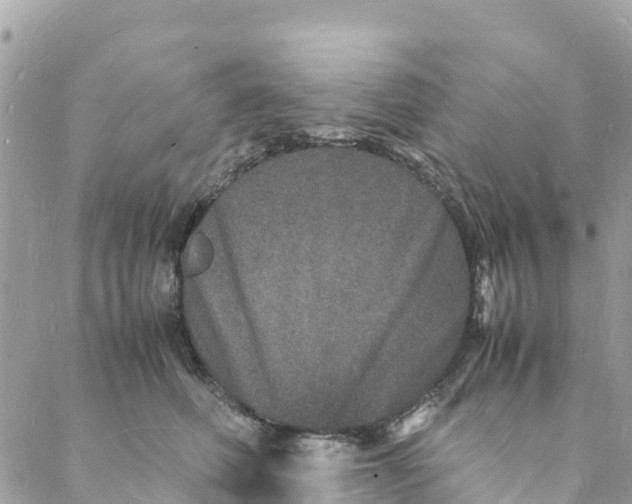 X0000088030614200706011351