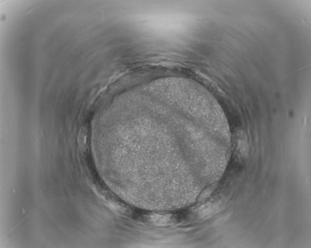 X0000088030615200706011351