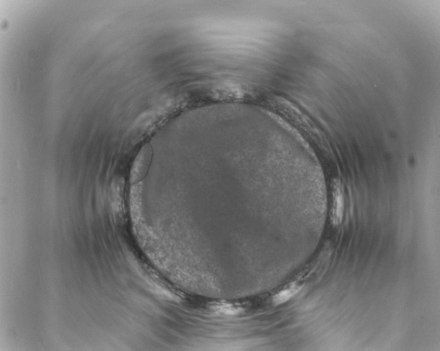 X0000088030616200706011351