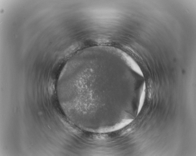 X0000088030618200706011351