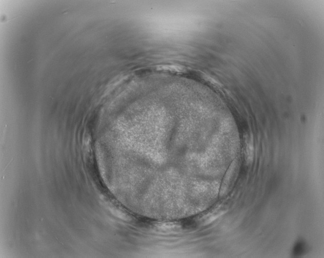 X0000088030619200706011351