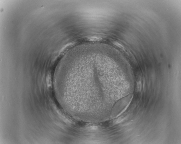 X0000088030620200706011351