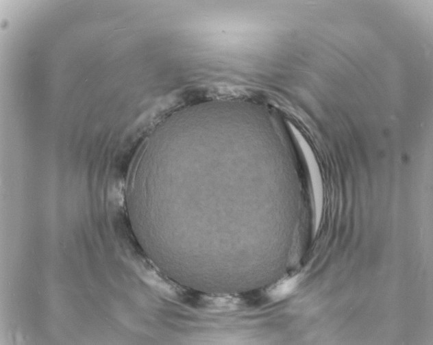 X0000088030621200706011351