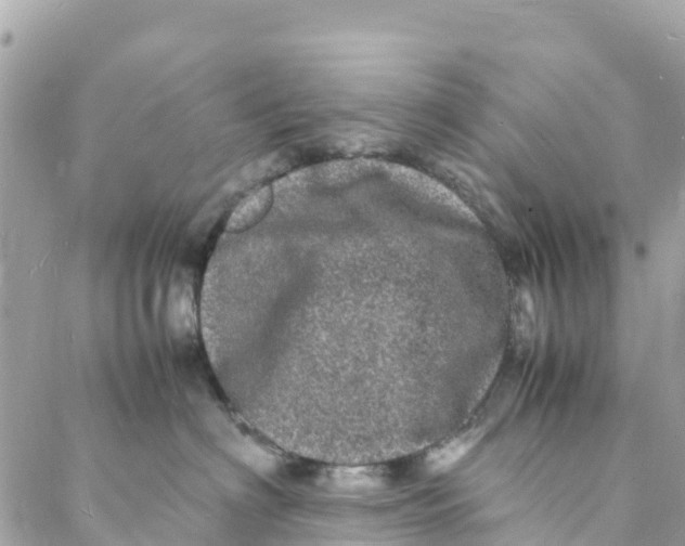 X0000088030622200706011351