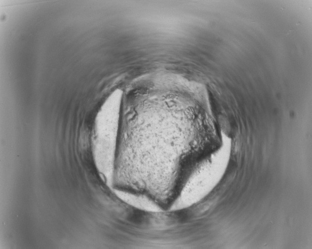 X0000088030623200706011351