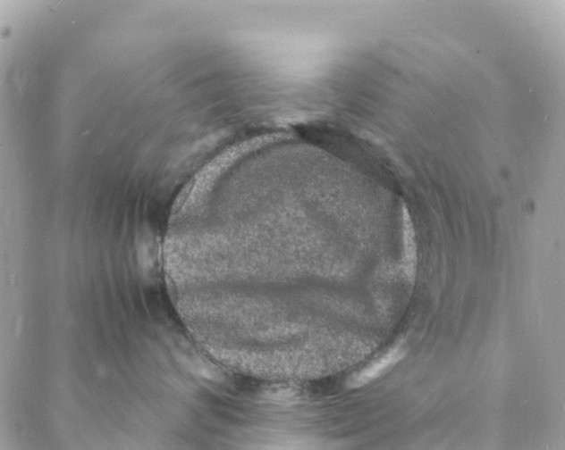 X0000088030624200706011351