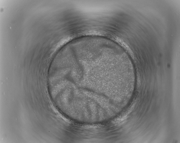 X0000088030625200706011350