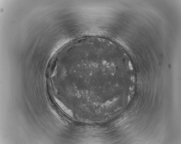 X0000088030626200706011350