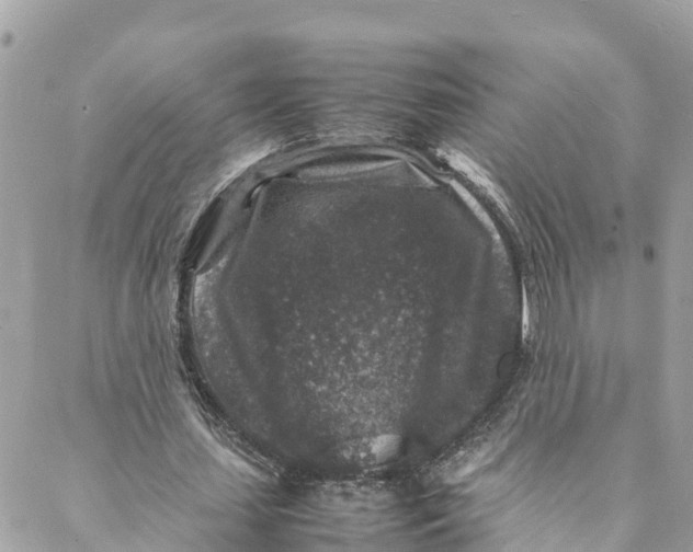 X0000088030627200706011350