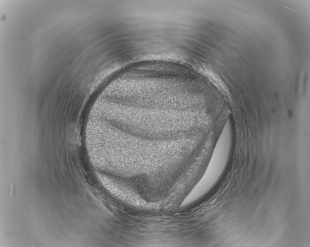 X0000088030628200706011350