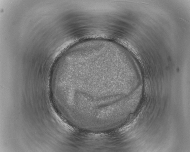 X0000088030629200706011350