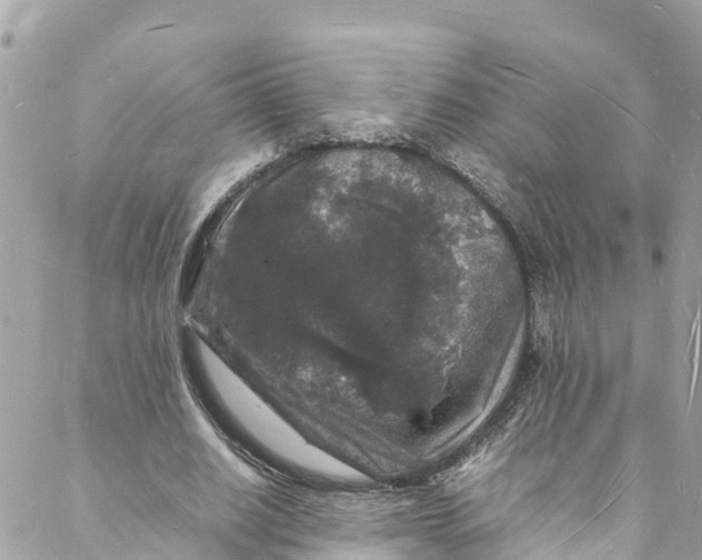 X0000088030630200706011350