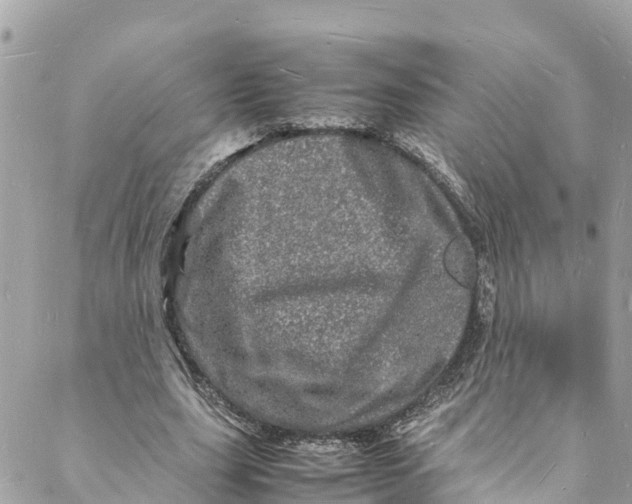 X0000088030631200706011350