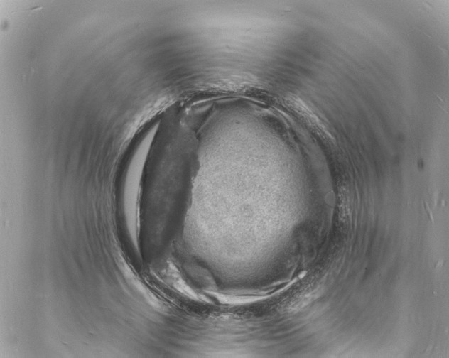 X0000088030634200706011350