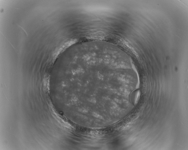 X0000088030641200706011350