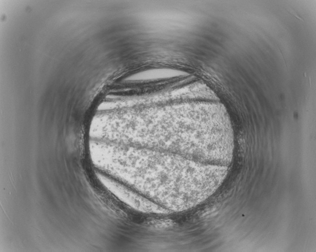 X0000088030642200706011350