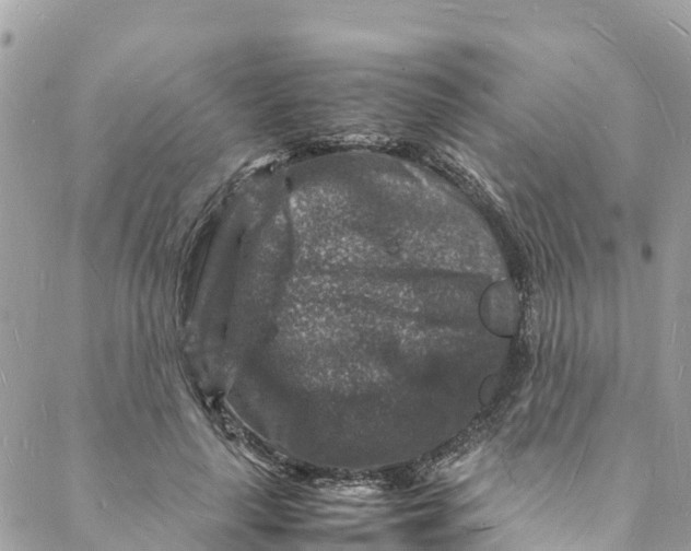 X0000088030643200706011350