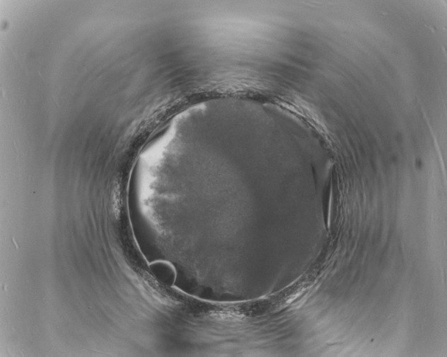 X0000088030644200706011350