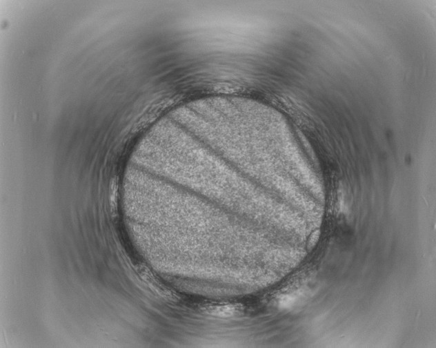 X0000088030646200706011350