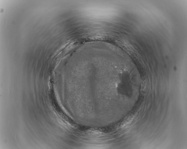 X0000088030648200706011351