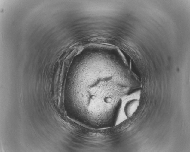 X0000088030649200706011351