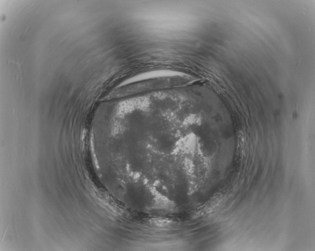 X0000088030650200706011351