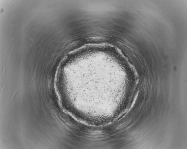 X0000088030651200706011351