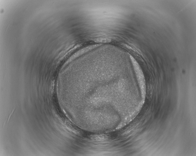 X0000088030652200706011351