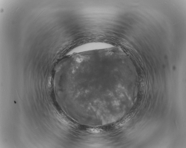 X0000088030654200706011351