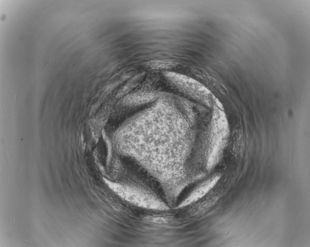 X0000088030655200706011351