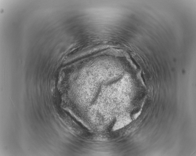 X0000088030656200706011351