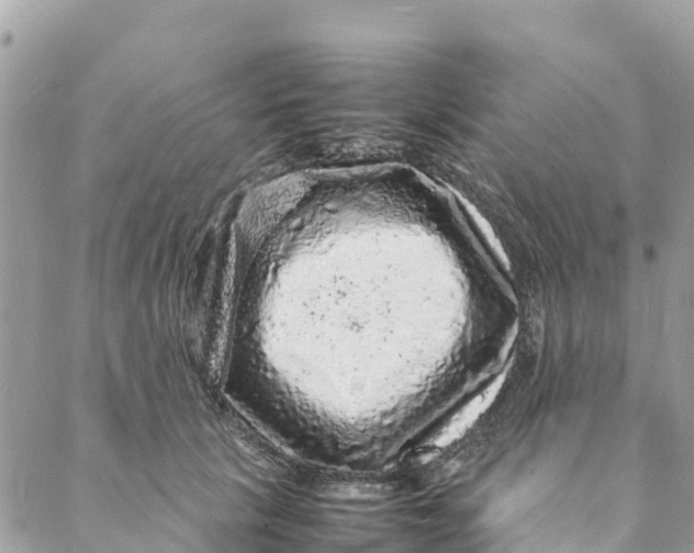 X0000088030657200706011351