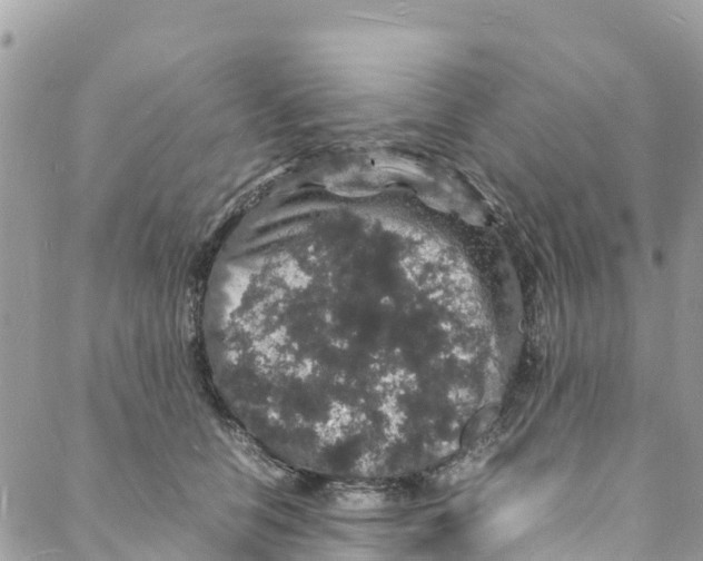 X0000088030658200706011351