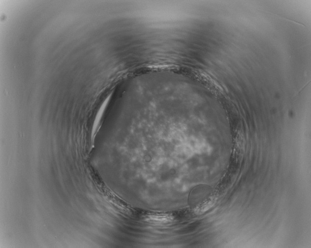 X0000088030659200706011351