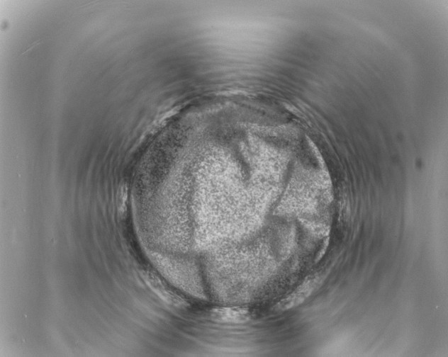 X0000088030660200706011351