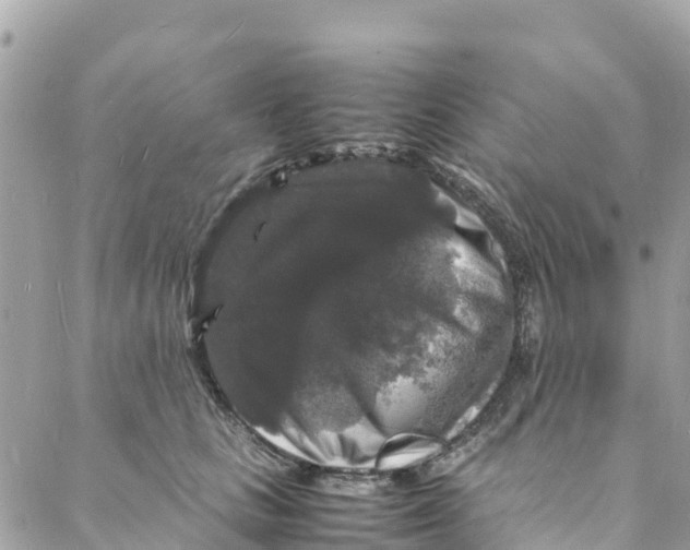 X0000088030661200706011351