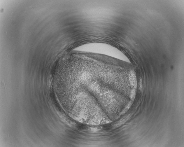 X0000088030662200706011351