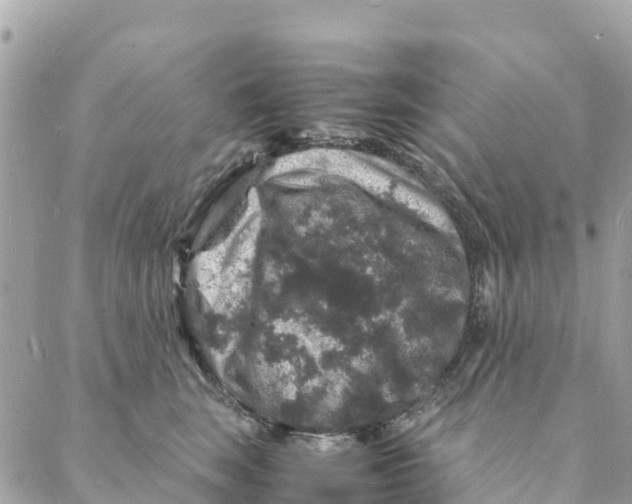 X0000088030663200706011351