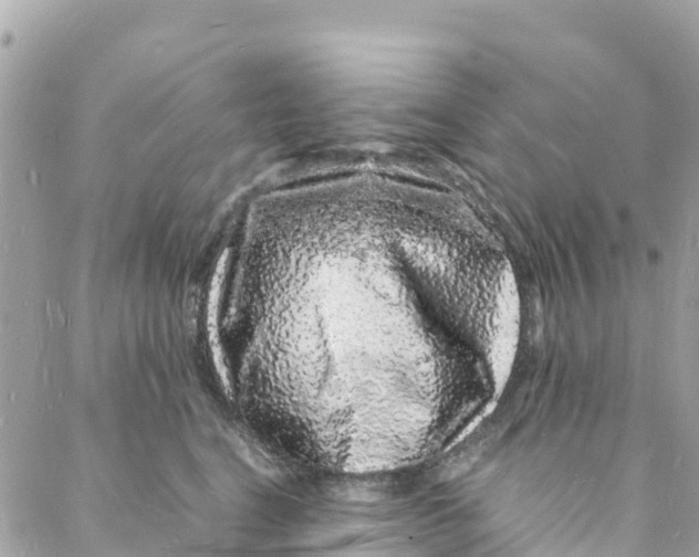 X0000088030664200706011351