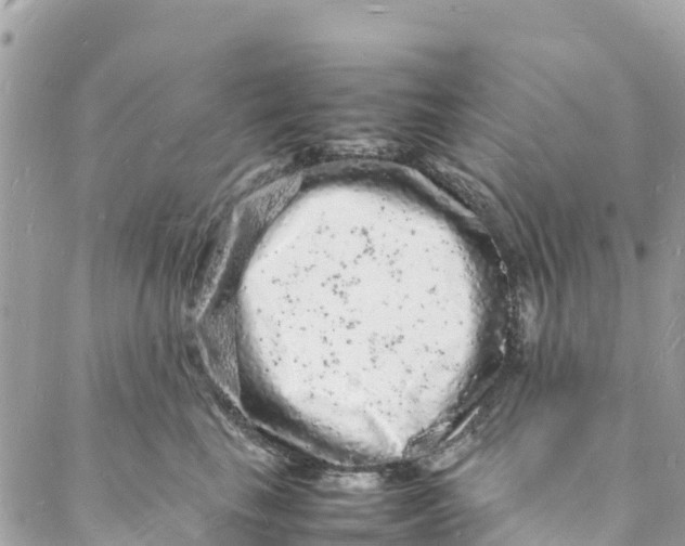 X0000088030665200706011351