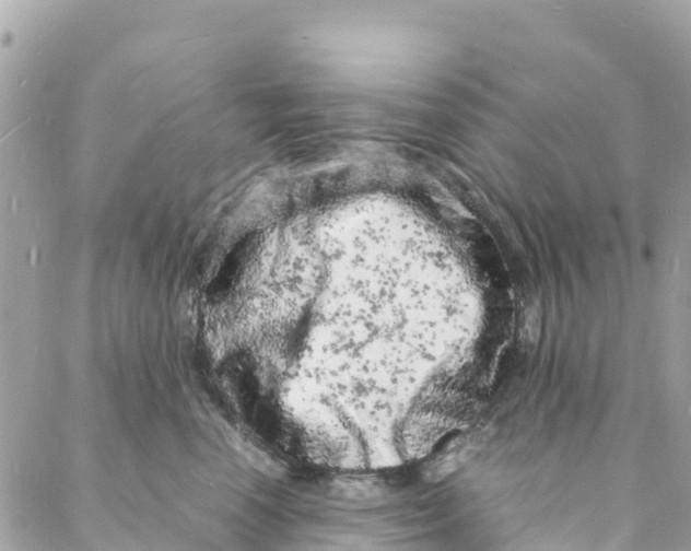 X0000088030666200706011351