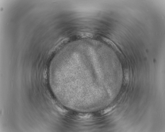 X0000088030667200706011351