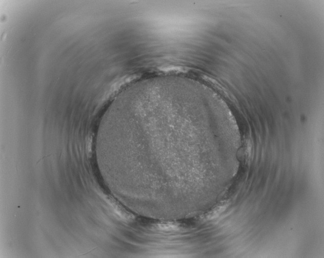 X0000088030668200706011351