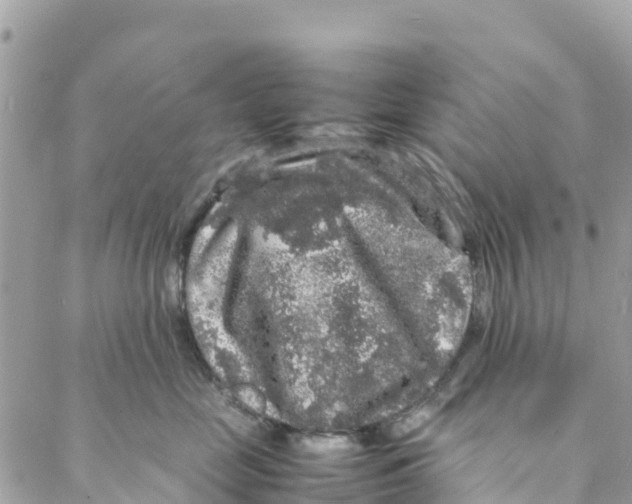 X0000088030669200706011351