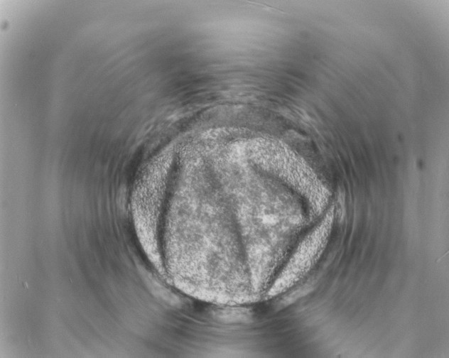 X0000088030670200706011351